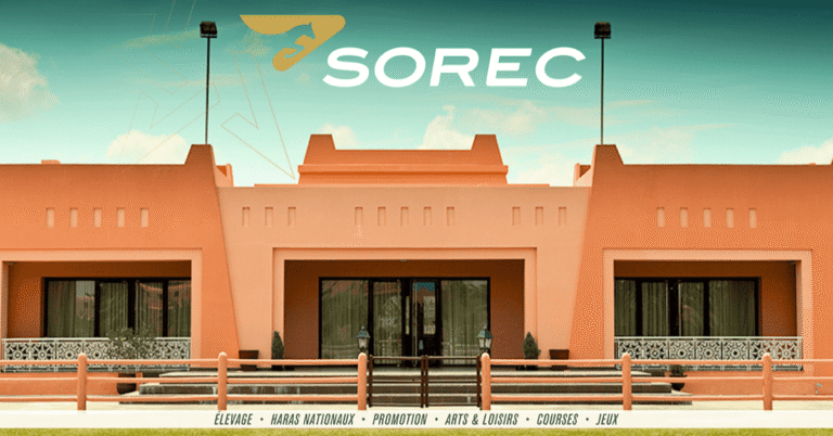 فرص عمل في الرباط: SOREC تعلن عن 3 وظائف استراتيجية