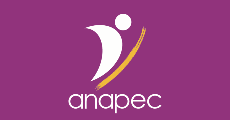 9 عروض عمل عبر الوكالة الوطنية لإنعاش التشغيل والكفاءات (ANAPEC) – الإدارة والمبيعات