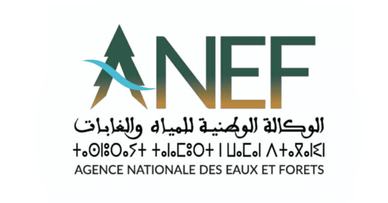 مباراة توظيف بالوكالة الوطنية للمياه والغابات (ANEF) 2025 – 20 منصب مباراة توظيف 20 منصب بالوكالة الوطنية للمياه والغابات 2025 (ANEF)